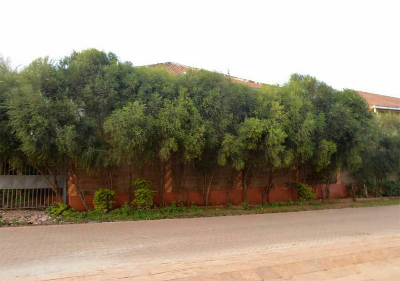 Ferienwohnung Nemadek Royal Park Nairobi Exterior foto